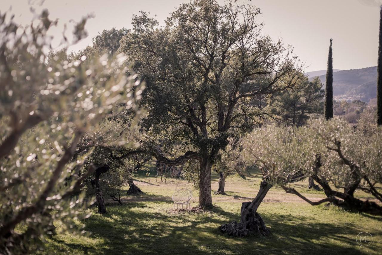 Les Hauts De Diane, Cuers Var Eksteriør billede